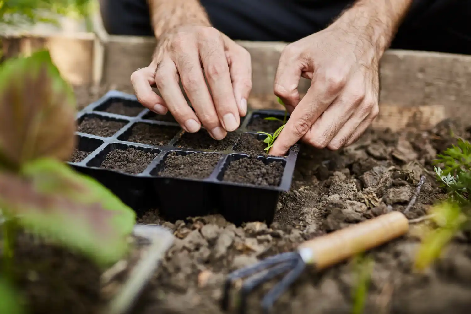 Semillas y fertilizantes ecológicos