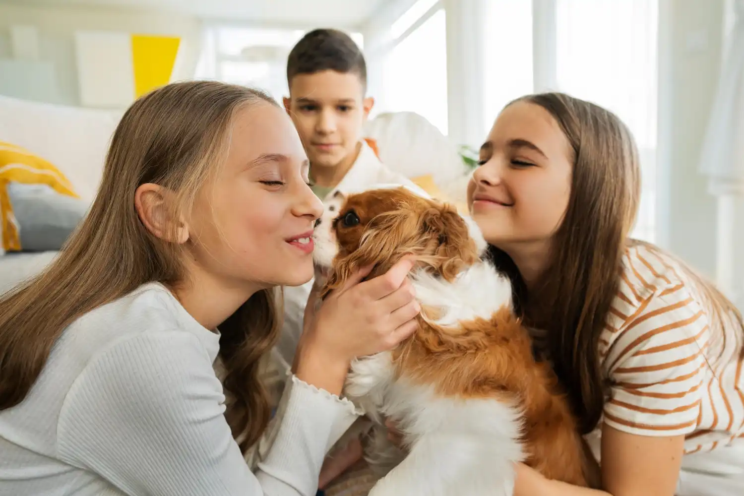 Nutrición y cuidados para tus mascotas