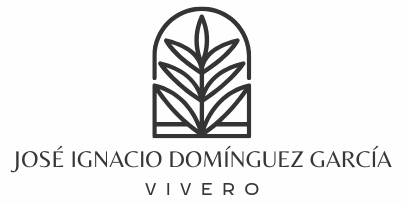 José Ignacio Domínguez García